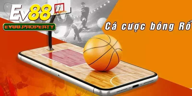 Cá cược bóng rổ và những kèo cược phổ biến hiện nay