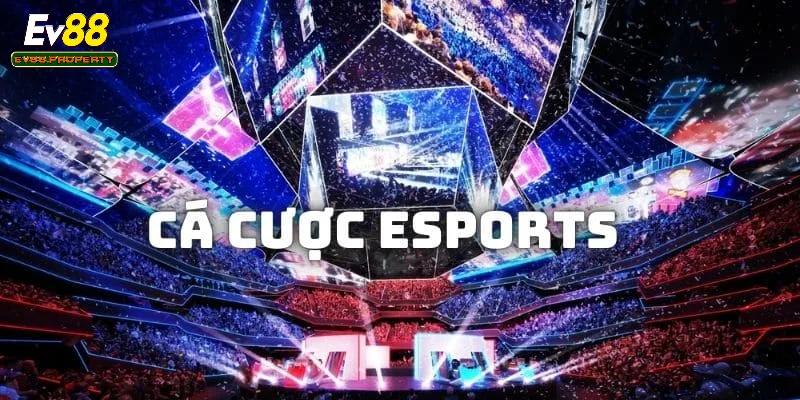 Vì sao cá cược eSports lại hot đến vậy?