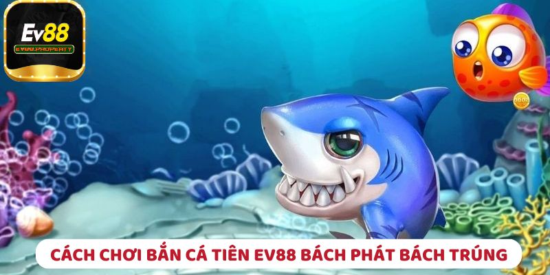 Khám phá cách chơi bắn cá tiên và chiến lược hiệu quả