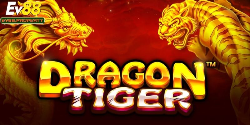 Bài Rồng Hổ - Bí Quyết Chơi Luôn Thắng Cho Người Mới