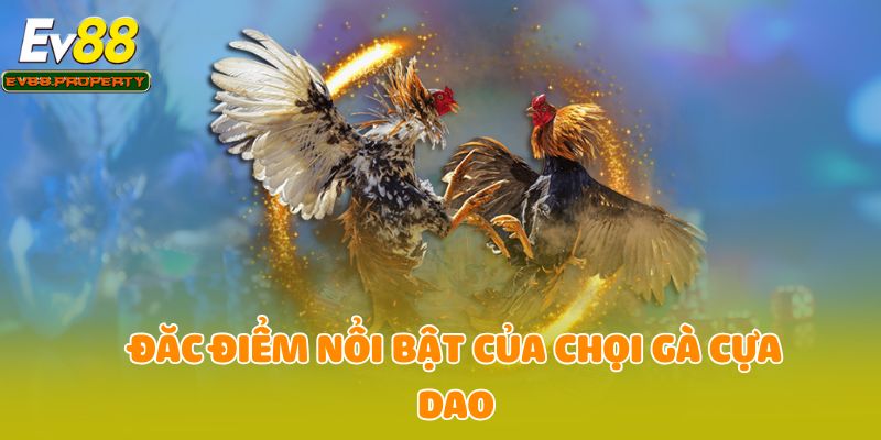 Đặc điểm nổi bật của chọi gà cựa dao
